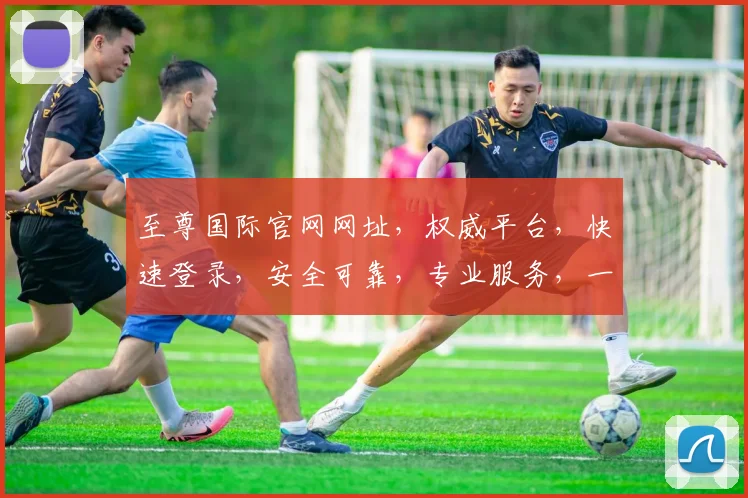 至尊国际官网网址，权威平台，快速登录，安全可靠，专业服务，一站直达