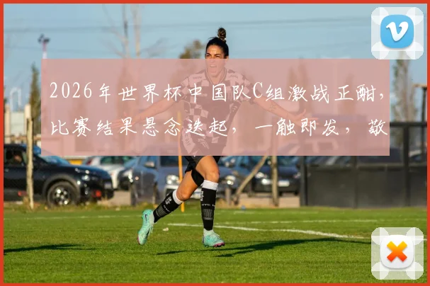 2026年世界杯中国队C组激战正酣，比赛结果悬念迭起，一触即发，敬请期待