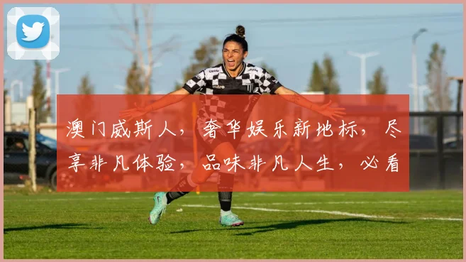 澳门威斯人，奢华娱乐新地标，尽享非凡体验，品味非凡人生，必看攻略