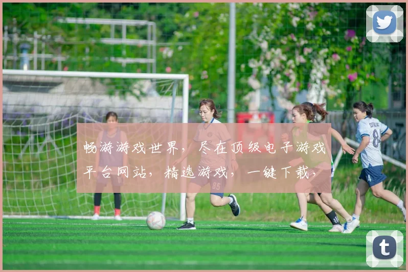 畅游游戏世界，尽在顶级电子游戏平台网站，精选游戏，一键下载，体验非凡