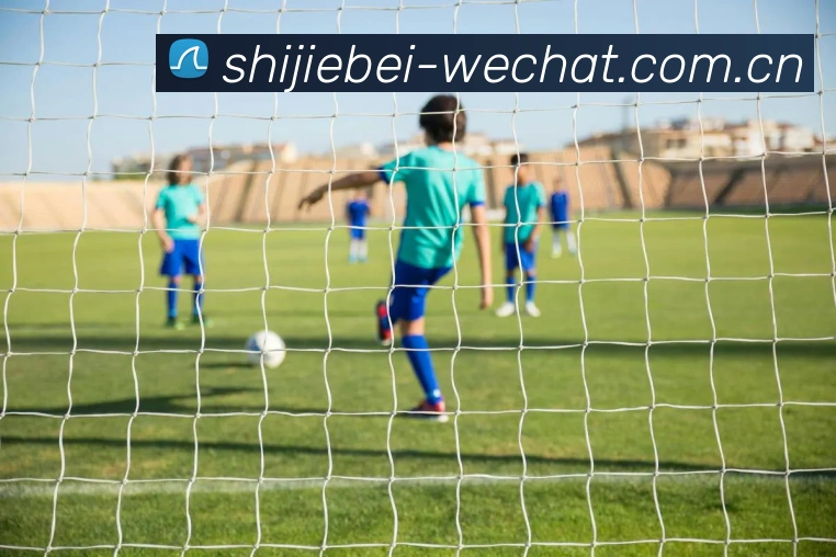 世界杯投注平台优惠服务体系